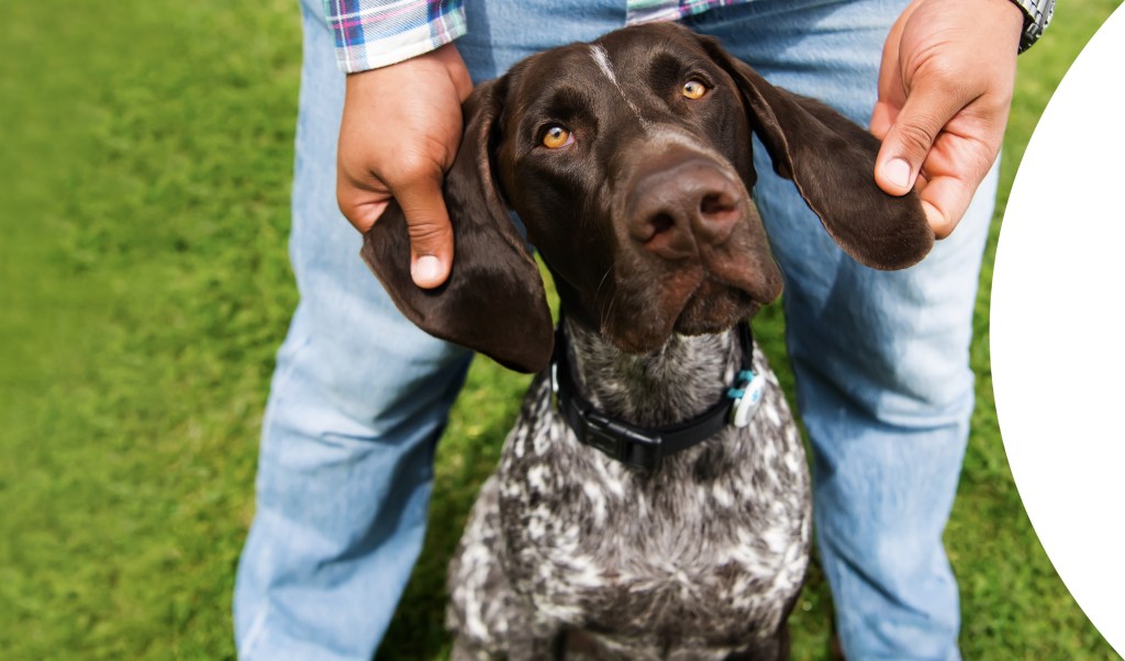 man holding dog ear