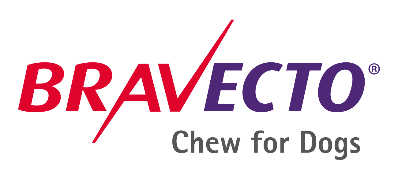 bravecto chew for dogs