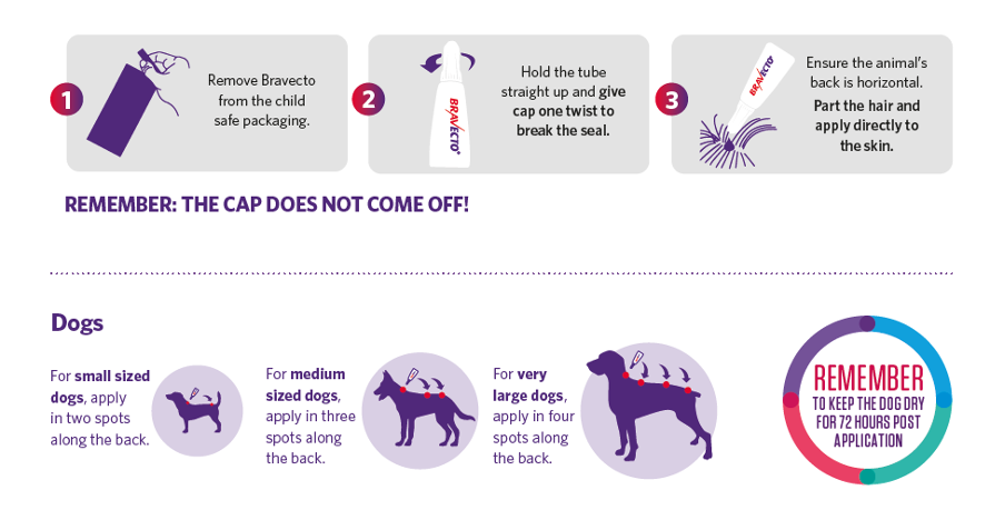 How-to-apply-Bravecto-Spot-On-for-dogs