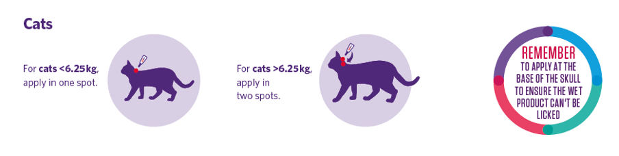 visual instructions for spot on plus use on cats