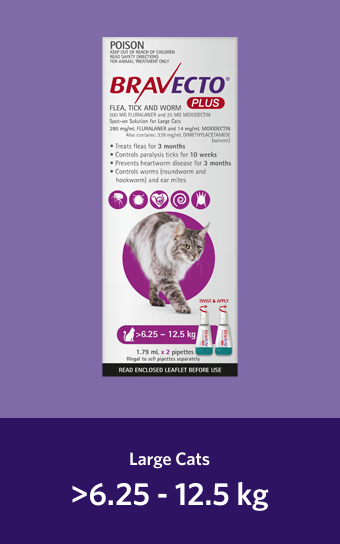 Bravecto Plus for large cats