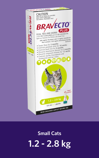 BRAVECTO CAT PLUS 1.2-2.8kg 1 PACK ex