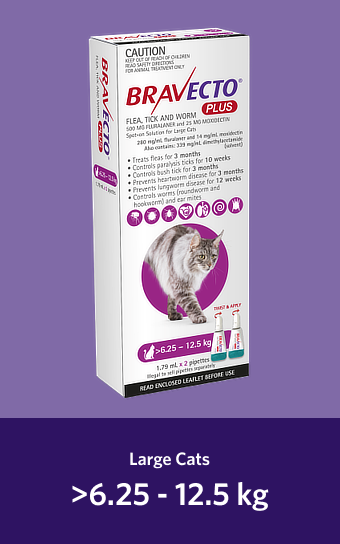 BRAVECTO CAT PLUS 6.25-12.5kg 2 PACK